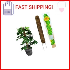 12 Inch Sphagnum Moss Pole – Indoor Plant Support