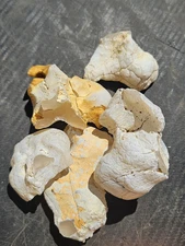 Snake Agate (sold per piece)