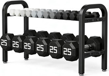 2 Tier Dumbbell Rack, Weight Rack for Home Gym, 300 Lb Capacity