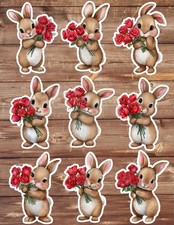 Valentines Bunny Die Cut Vinyl Stickers Set Scrapbooking Laptop Waterbottle