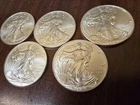 SILVER EAGLE 🦅  (LOT OF 5) 1 Oz 2013 PICKED FRESH FROM TUBE (BU/GEM)