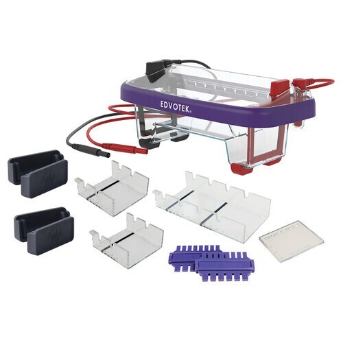 M12 Complete Electrophoresis Apparatus, 14 x 7 cm, 1/Case