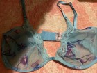 Ann Summers Beautiful Blue Butterfly Bra 36D BNWOT