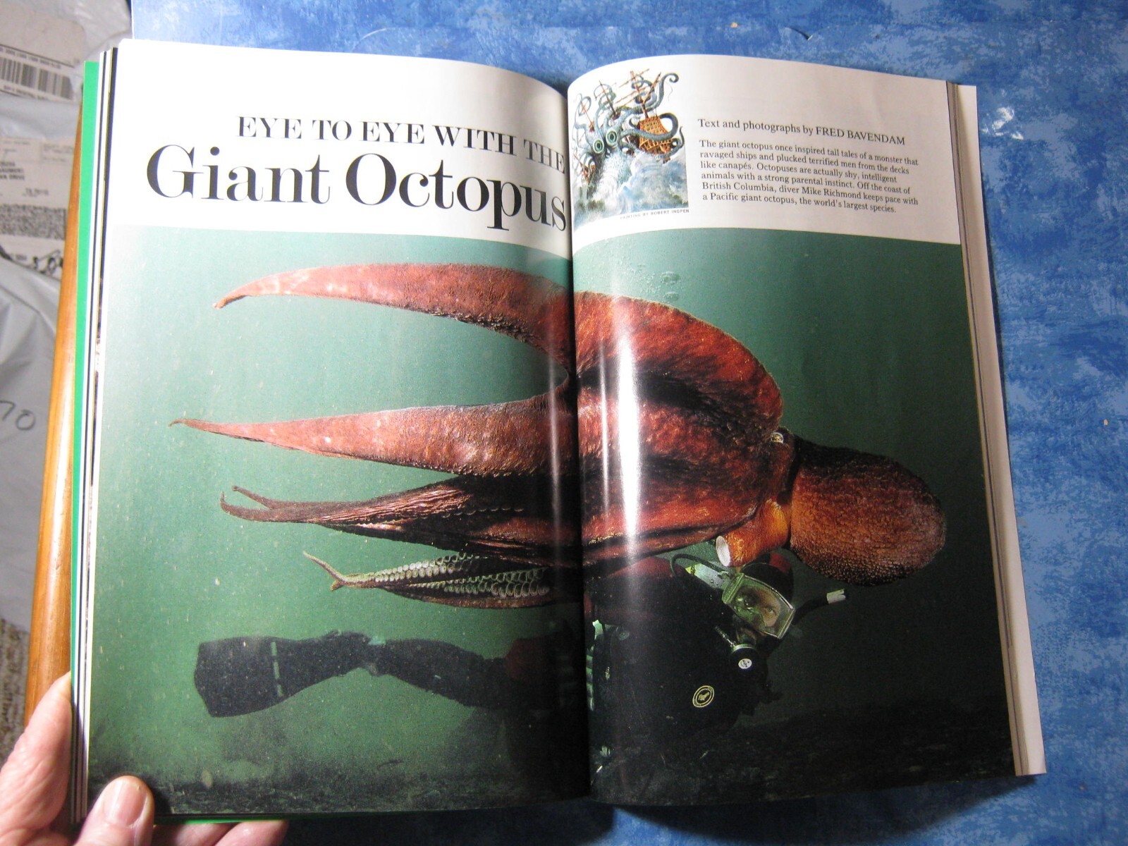 NATIONAL GEOGRAPHIC March 1991 LECHUGUILLA CAVE SPLENDORS Montreal OCTOPUS