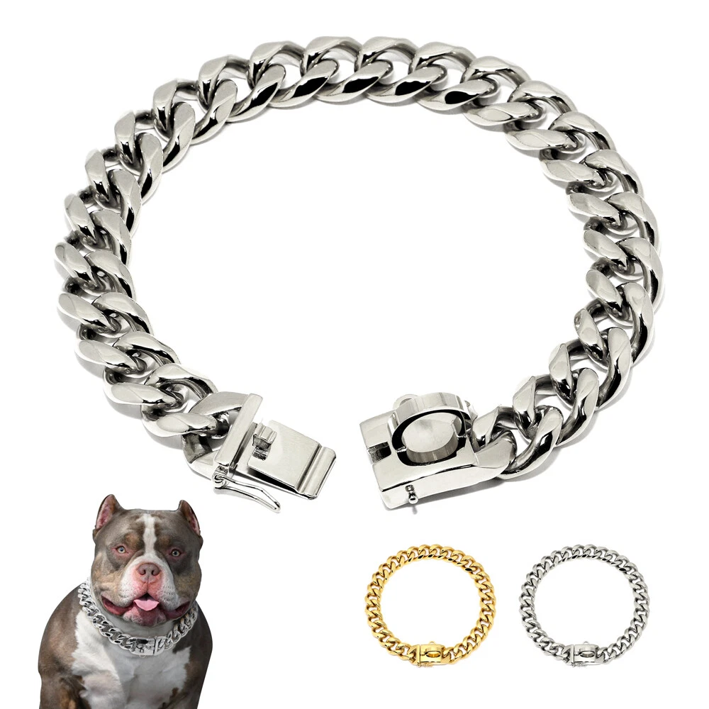 Stainless steel best sale collar for dogs