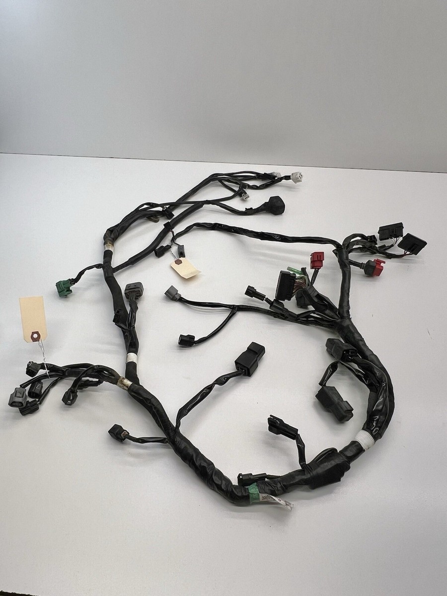 2021-2023 Kawasaki KLX300SM KLX300 OEM Main Chassis Wire