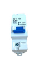 MCB 100A 1PC NEW CY DZ47-125 Series Circuit B...