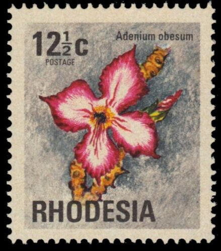 RHODESIA 338 (SG499) - rosa Sabi-Stern ""Adenium obesum"" (Pa92707+) - Bild 1 von 1