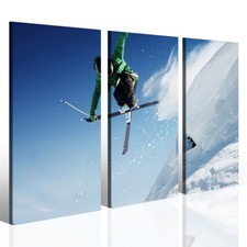 Canvas Sci Freestyle - Salto Acrobatico - Quadri Sportivi