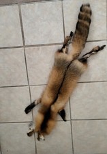 Fox Fur Stole. Used. Bought in Aspen. Rarely use. With Face and Tail