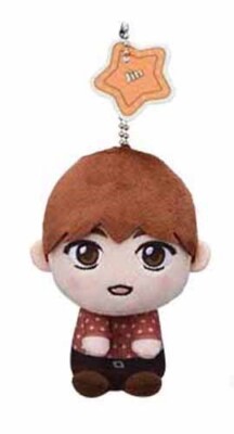 BTS Tinytan and You Jin Dynamite Small Plush Key Chain