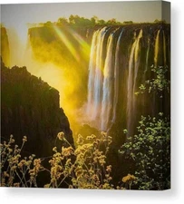 Digital Art Prints On Medium Size Canvas