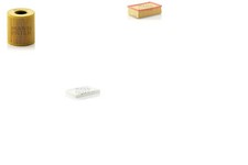 MANN-FILTER Inspektionspaket Filtersatz L Filtereinsatz Partikelfilter für 307 1