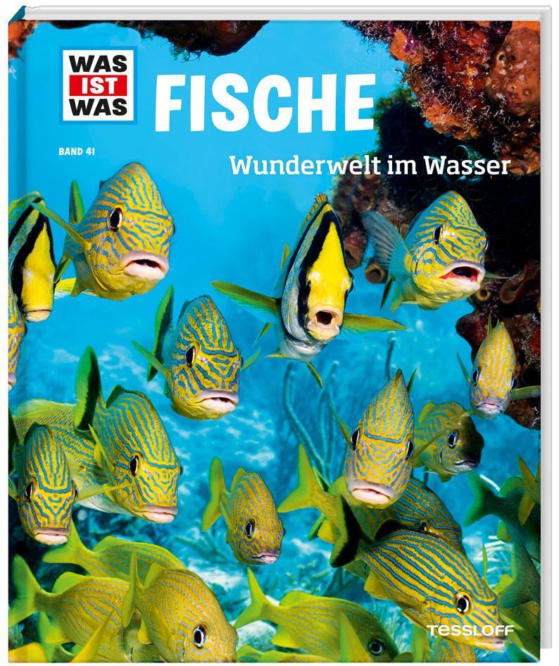 Was Ist Was Band 41 Fische. Wunderwelt Wasser Nicolai Schirawski