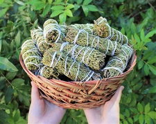 Juniper Sage Smudge Sticks Bulk Wholesale 1,2,3,5,10,20, or 50 (House Cleansing)