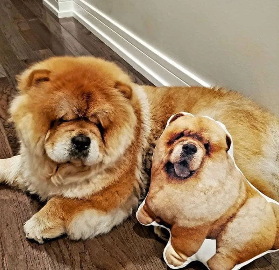 Custom 3D Photo Face Pillow | Turn Any Photo Into a Pillow | Pet Pillow - Image 2 of 4