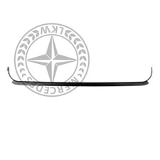 T&uuml;rdichtung vorne Mercedes G-Klasse A4607250551 original