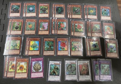 naturia yugioh deck Amazon.com: Complete Custom Deck for Yu-Gi-Oh! main image 1