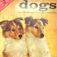 Vintage 1957 Dogs Over 100 Photographs Walter Chandoha Dan Senseney