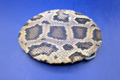 Real Burmese Python Snakeskin Belt Buckle Rolled Edge made in USA