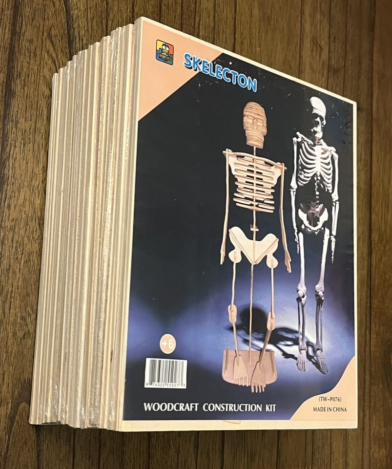 Human Skeleton 3D Woodcraft Get 10 Home Science Activities For Kids