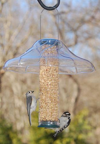 Aspects Fancy Swirl Bird Feeder Protective Dome 383 - Bild 1 von 1