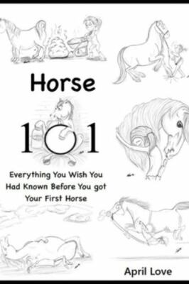 Horse 101: Everything You Wish you Had Known Before You Got Your First Horse