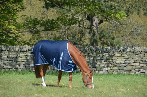 ***SUPER CLERANCE*** Alfombra de participación de caballos 600d impermeable azul marino 200 g relleno 5'3""-6'9" - Imagen 3 de 14