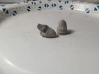 Dug Civil War era Burnside bullets
