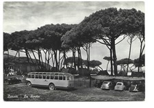 Italy Baratti La Pineta Bus Cars