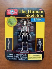 TS Shure The Human Skeleton Magnetic Science Tin Stem Activity Learning Bones