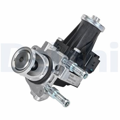 DELPHI AGR-Ventil EG10749-12B1 für CITROËN DS  passend für FIAT OPEL PEUGEOT