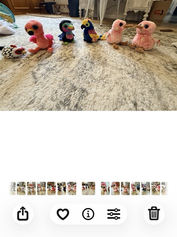 Ty Beanie Boos Bird Stuffed Animals Lot of 6