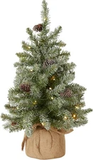 2ft Pre-Lit Flocked Mini Artificial Christmas Tree Green Holiday Tabletop Decor