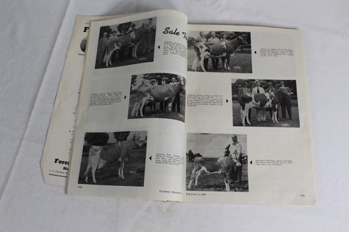 Guernsey Breeders Journal June 15, 1946 Cow Calf Bull Farms Cattle Dairy Ads - Imagen 12 de 24