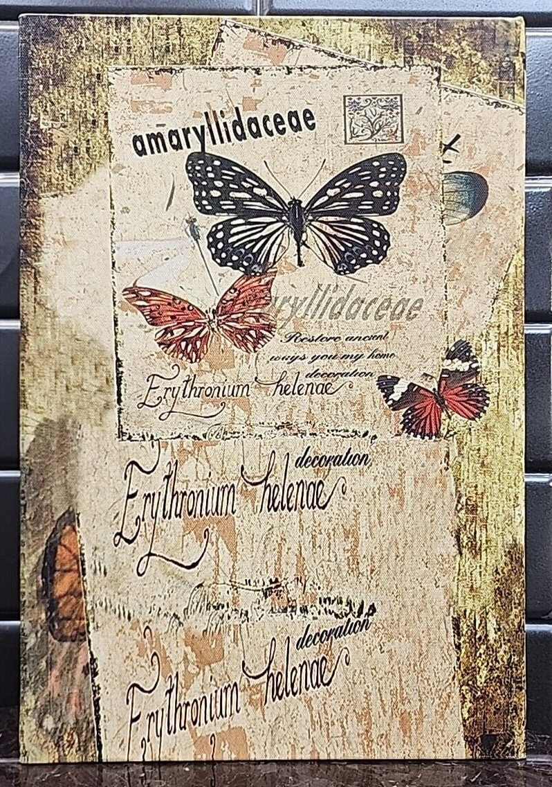 Butterfly Taxonomy Wooden Hollow Hideaway Safe Box Book Magnetic 12×8×2.75"