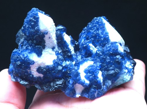 256,2 g Natura baya azul fluorita cristalina/Mongolia interior - Imagen 8 de 10