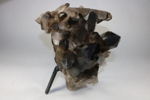 Huge Smoky Quartz Crystal Cluster Points 6+ Lbs! US Seller! Free Ship! - Picture 3 of 11