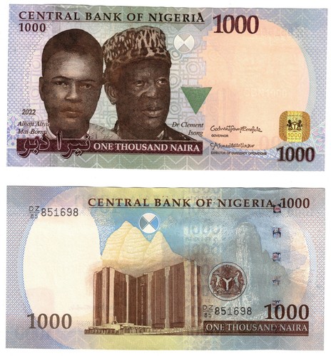 Billet 2022 Nigeria 1000 naira UNC P36 B229uz neuf remplacement préfixe DZ - Photo 1 sur 1