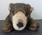 Bild 5 von 12