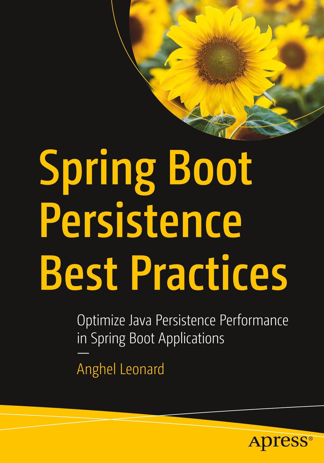 Thumbnail - Anghel Leonard | Spring Boot Persistence Best Practices | Taschenbuch