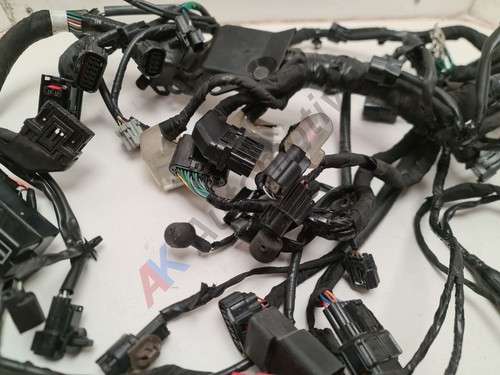 Honda CRF 1100 Africa Twin 19~24 Wiring Loom Harness 32100-MLG-E00 - Picture 7 of 9