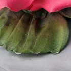 Foto 6 di 10