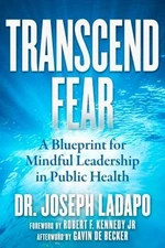 Transcend Fear : A Blueprint for Mindful Leadership in Public Hea