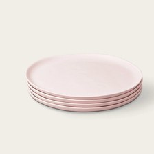 Fable the Dinner Plates Pink Blush, 11 Inch, 1 Replacement Plate