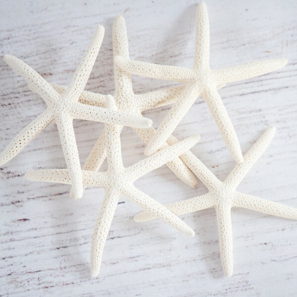 White Starfish Sea Stars 5-8cm Craft Shell Decor Seaside Nautical Display 5 Pcs