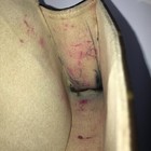 Picture 15 of 24