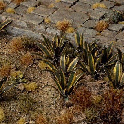 Gamer Gras Laser Cut Pflanzen - Agave (Wargame / Model Basing)