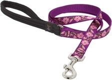LupinePet Originals 3/4" Rose Garden 4-Foot Padded Handle Leash