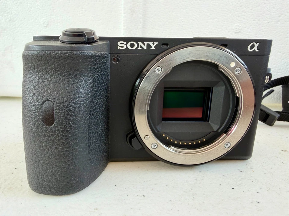Sony Alpha 6600, foto 1 di 5